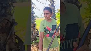 farming 🌀 கண்டிப்பா Twist இருக்கு 🤭just for fun 🤣 dailyvlog [upl. by Aicenev]