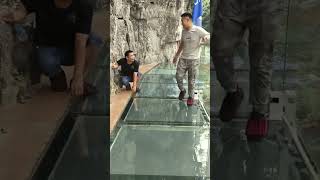 Terrified Reactions to a Glass Bridge that Cracks [upl. by Atoiganap931]