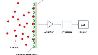 What are biosensors [upl. by Amadeo]