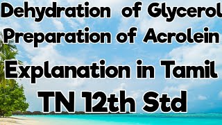 29Preparation of AcroleinDehydration of GlycerolReactions of GlycerolExplanation in TamilTN12 [upl. by Press]