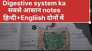 digestive system Hindi notes पाचन तंत्र main organ DMLT notes with laddu Gopal [upl. by Suzzy870]