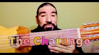 How To Play the Charango  Music Lesson for Kids [upl. by Dace]