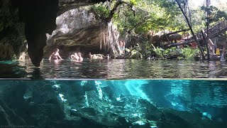 Cenotes of Tulum Mexico  Cancun Snorkeling [upl. by Enilamme747]