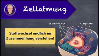 Zellatmung  einfach erklärt [upl. by Seana]