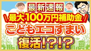 【新補助金】子育てエコホーム支援事業の「対象条件」「金額」「申請時期」「注意点」「併用について」を徹底解説！ [upl. by Suaeddaht721]