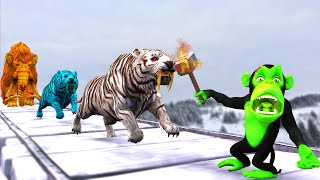 3 Zombie Tiger Run Away From Funny Monkey turn into Zombie Monkey vs Woolly Mammoth Temple Run Maze [upl. by Xino]