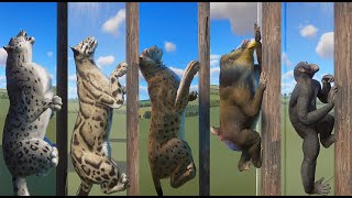 All Climbing Animal in Planet Zoo included Mandrill Lynx Bonobo Clouded Leopard Snow Leopard [upl. by Julian]