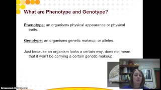 Punnett Squares  Homozygous Heterozygous [upl. by Calida]