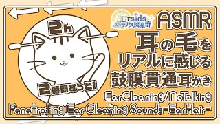 ASMR2時間ずっと！耳の毛をリアルに感じる鼓膜貫通耳かきRealistic Ear Hair Penetrating Ear Cleaning Sound01声なしNo Talking [upl. by Alahsal]