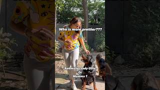 Rottweiler Doggy Apni Human Mummy Se Zyada Sunder Hai shorts dogs rottweiler youtubeshorts [upl. by Ginni]