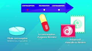 Hormones et procréation humaine SVT 2de [upl. by Ephrem389]