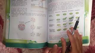 SPECIATION WITH ITS TYPES DETAILED EXPLANATION FROM NEW BOOKXII BIOLOGY CHAPTER 24 EVOLUTION [upl. by Tiat780]