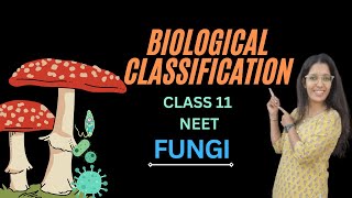 BIOLOGICAL CLASSIFICATION FUNGI  CLASS 11 NEET [upl. by Nnahteb]