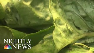 Growing Outbreak Romaine Lettuce Linked To 67 Cases Of EColi CDC Warns  NBC Nightly News [upl. by Klemm]