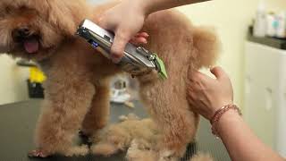 oneisall Metal Dog Clippers for Thick Hair [upl. by Fronia]