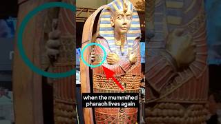 😱 when the mummified pharaoh lives again [upl. by Xam]