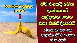 ඔබ මේවා දකින්නේ ජිවිතේ පළමු වතාවට EP286 [upl. by Aizatsana]