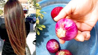 Onion Hair Oil Remedy  Best Long Hair Oil  Almas Kitchen Menu [upl. by Vevina]