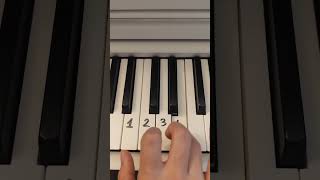 Fake Piano Skills 🎶  Easy Piano Tutorial  shorts piano pianotutorial [upl. by Nedroj889]