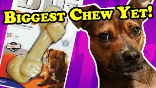 Time for a change  DOG TOY REVIEWS amp DIY TREATS  Nylabone BIG DuraChew [upl. by Alexandr]