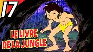 LE LIVRE DE LA JUNGLE  Partie 17  Épisode Complet  Français  Jungle Book [upl. by Cody]