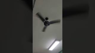 Ventilador de teto Tron Eco Rio [upl. by Vetter]