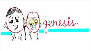 Oogenesis Maturation of oogonia to oocyte [upl. by Agamemnon]