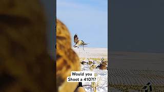 Goose vs 410 Would you shoot goose hunting 410 shortsvideo shorts gopro birds waterfowl [upl. by Larred]