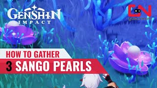 Gather 3 Sango Pearls Genshin Impact  Sango Pearl LOCATIONS for Trillion Trinket Trawl [upl. by Eniamart]