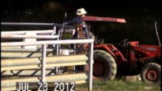 Horse Training Series video 2 of 8 Groundwork to Heel Horse [upl. by Ruhnke]