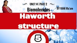 Haworth structureGrade 12Part5Biomolecules chemistry cbse tricks [upl. by Murray]