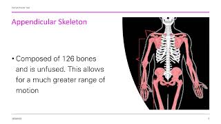 The Axial and appendicular skeleton [upl. by Faunie]