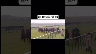 Darley Dewhurst memory group one race Shorts FYP GoViral HorseRacing [upl. by Tacy]