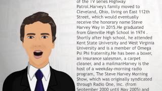 Steve Harvey  Wiki Videos [upl. by Neened]