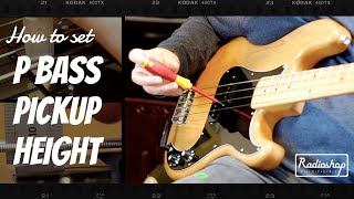 How to set P Bass Pickup Height [upl. by Jarlen]