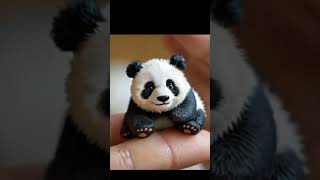 A mini panda on hand cute babyanimal elephntsong cute babyanimal animals babypets panda [upl. by Eugilegna384]