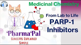 From Lab to Life Medicinal Chemistry Behind PARP1 Inhibitors👩‍🔬💊📚 [upl. by Elodia]