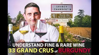 What makes the 33 Grand Crus of Burgundy Unique  Best Bourgogne Wines Explained [upl. by Lohse]