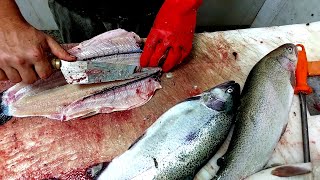 Trout cutting at fish market  Butterfly fish fillet [upl. by Sarine]