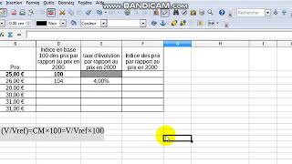 calcul indice évolution et taux [upl. by Worrell]