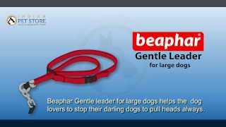 Help and Advice for Beaphar Gentle leader [upl. by Amees]