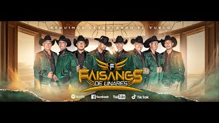 LA HUARACHA  Faisanes De Linares Video Oficial [upl. by Werda]