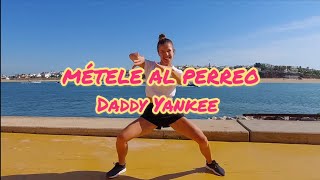 ZUMBA  MÉTELE AL PERREO  Daddy Yankee  Nádia Pires [upl. by Asik827]