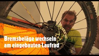 Bremsbelaege wechseln blitzschnell ohne Ausbau Laufrad am Fahrrad Mountainbike [upl. by Morlee]