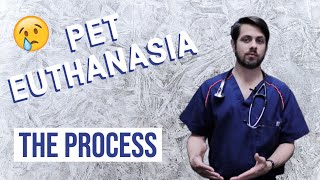 What to Expect When Putting Your Pet to Sleep  Euthanasia [upl. by Adiraf]