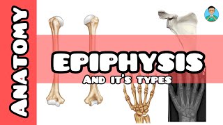 Epiphysis and its types for USMLE [upl. by Tedman39]