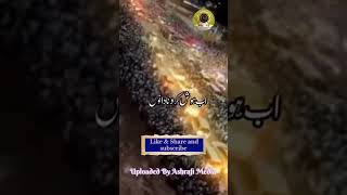 Gustakh E Nabi Par Nazm Batil ke kisi dushman se  gustakherasool gustakhesahaba gustakhenabi [upl. by Anerdna253]