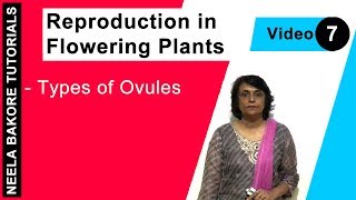 Reproduction in Flowering Plants  NEET  Types of Ovules  Neela Bakore Tutorials [upl. by Asusej]