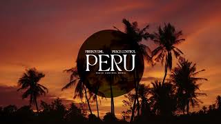 Fireboy DML  Peru Peace Control Remix [upl. by Eical]