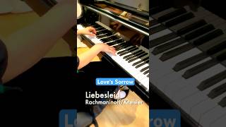 Rachmaninoff  Kreisler  Liebesleid Loves Sorrow From „Your Lie In April“ shorts [upl. by Atnas567]